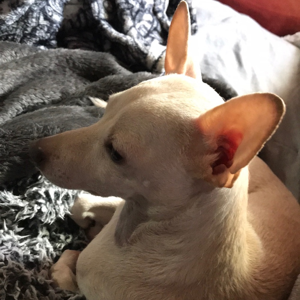 Meet your Posher, Megan